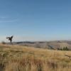 idaho