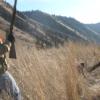 Idaho24